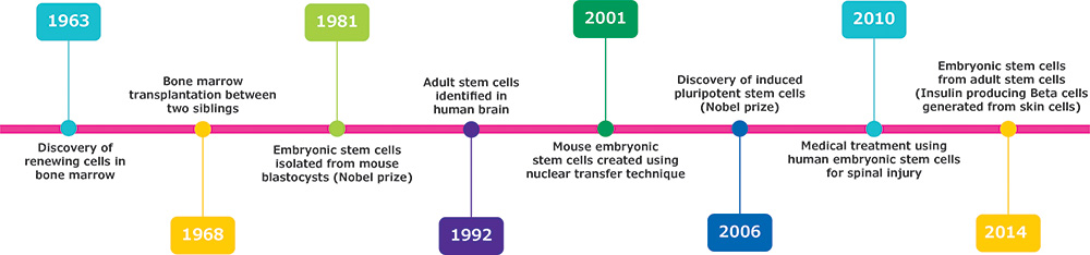 celule stem